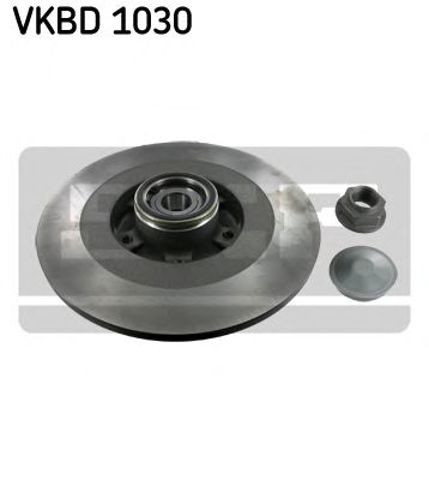 Диск заднього гальма VKBD1030 SKF