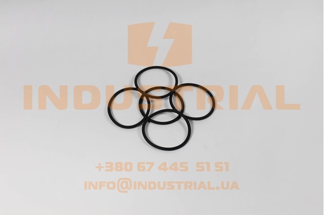 Прокладка клапанної кришки двигуна, кільце 124410 LE.MA.