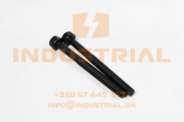 Болт головки блока циліндрів 4891024 IVECO