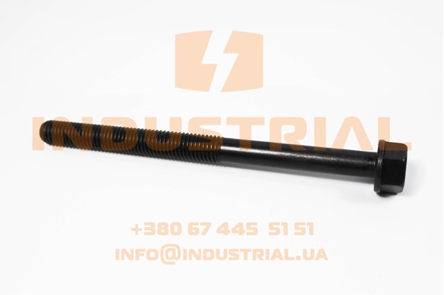 Болт головки блоку циліндрів, ГБЦ 4891025 IVECO