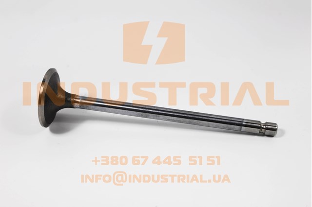 Клапана і штовхачі 4895052 IVECO