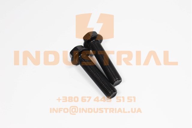 Болт кріплення маховика 504027865 IVECO