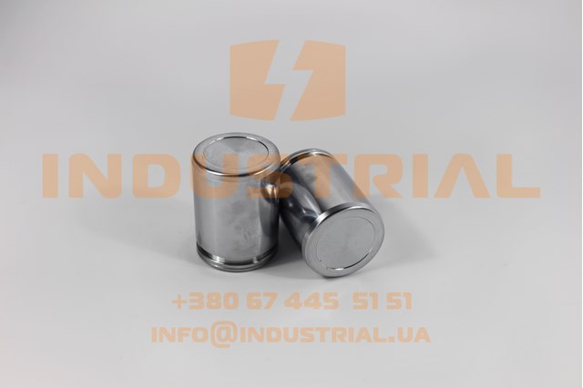 Поршень гальмівного супорта заднього FT32286 FAST