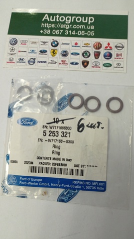 Кільце ущільнювача штуцерів рульової рейки 5253321 FORD