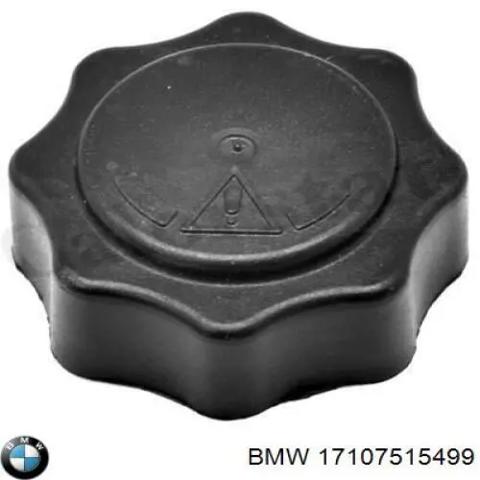 Кришка / пробка розширювального бачка 17107515499 BMW