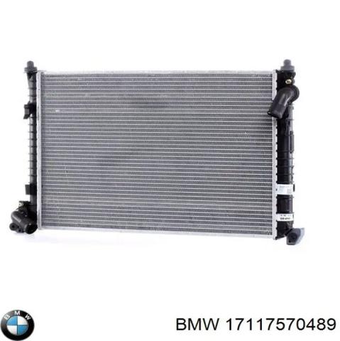 Система охолодження двигуна 17117570489 BMW