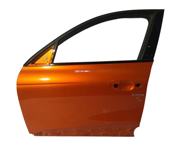 Водійські двері 801011919R RENAULT