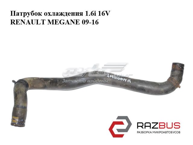 Шланг/патрубок радіатора охолодження, верхній 215010014R RENAULT