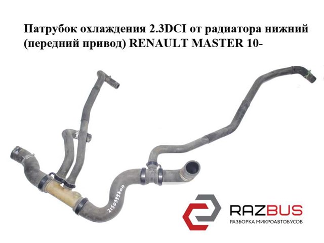 Патрубок охлаждения 2.3dci от радиатора нижний (передний привод) renault master 10-(рено мастер); 215039970r 215039970R