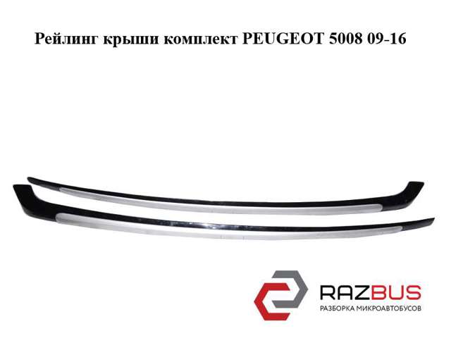 8319R3 Peugeot/Citroen