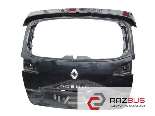 Треті двері 901002669R RENAULT