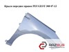 Переднє праве крило 9656738480 PEUGEOT