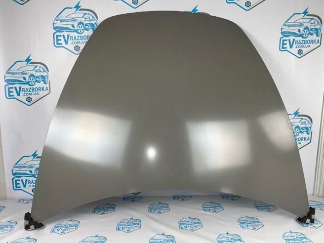 Капот 1714047ECD TESLA