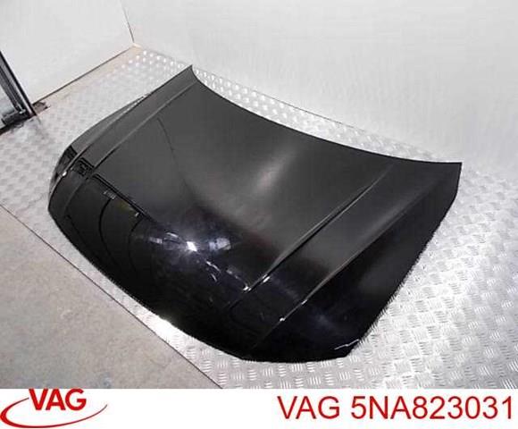 5NA823031 VAG