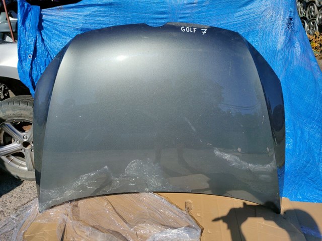 Капот 5G0823031J VAG