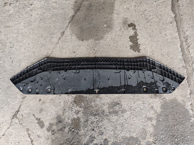Кенгурятник 8W0807611 VAG
