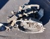  механічна коробка передач мкпп взборі opel vectra b  1.6/16v 1995-2002 90522510 gm моб.+380981029982 б/у 90522510