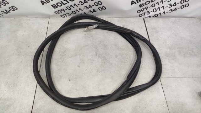 Ущільнювач двері задньої правої (на кузові) 76923EB32A NISSAN