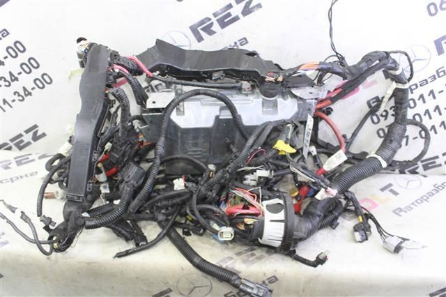 Обмежувач відкриття дверей, передній 80430CG000 NISSAN