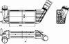 Радіатор интеркуллера 30192 NRF