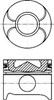 Поршень в зборі 8711790000 NURAL