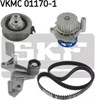 Комплект ГРМ VKMC011701 SKF