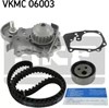 Комплект ГРМ VKMC06003 SKF