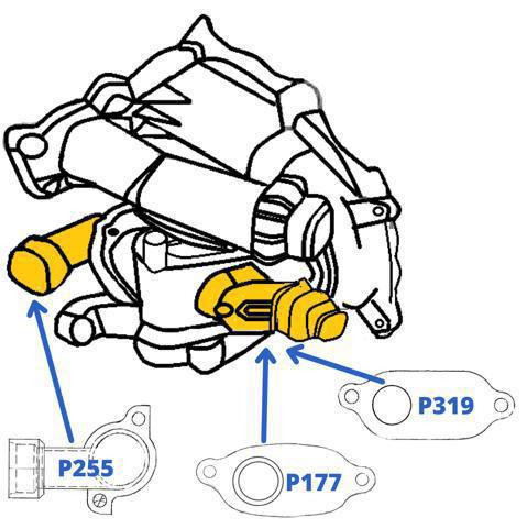 P0319 ACS