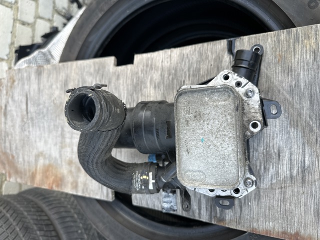 Радіатор масляний 213058627R RENAULT
