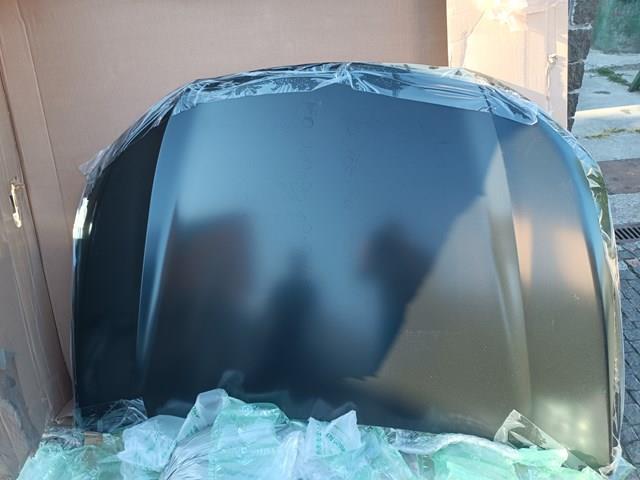 Капот 601003W0A00ZZ HONDA