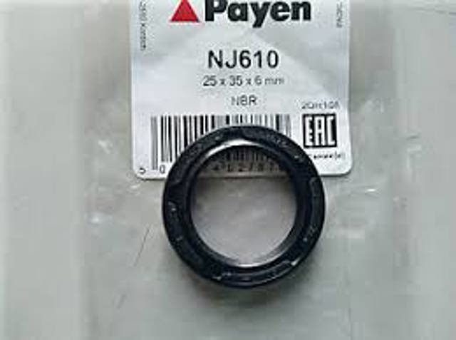 Сальник масляної помпи NJ655 PAYEN