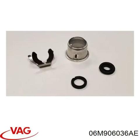 Форсунка вприску палива 06M906036AE VAG