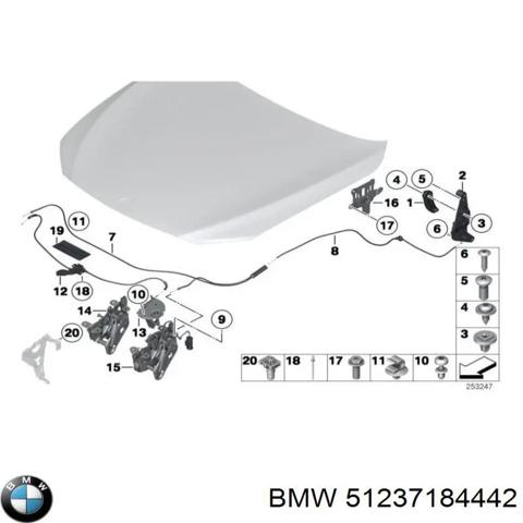 Замок капота, правий 51237184442 BMW