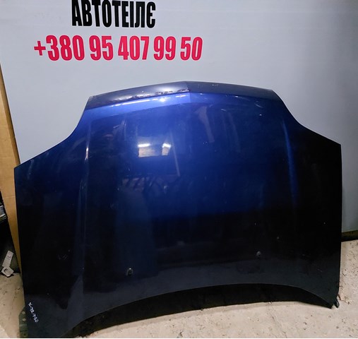 Капот F5100EQ0MM NISSAN