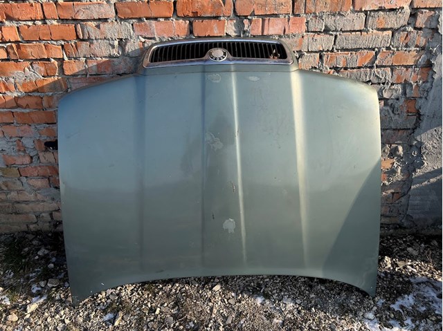 Капот 1U0823031 VAG