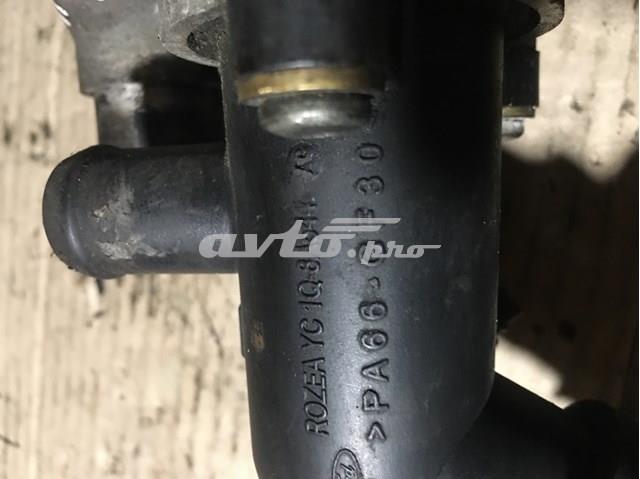 YC1Q8A544 Ford