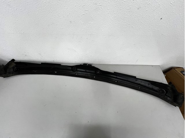 Водостік лобового скла, жабо 51718256313 BMW