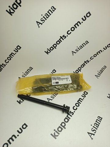 Болт головки блоку циліндрів, ГБЦ Hyundai Santa Fe 3