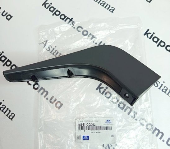 Бризговик задній, лівий 86841CG000 HYUNDAI