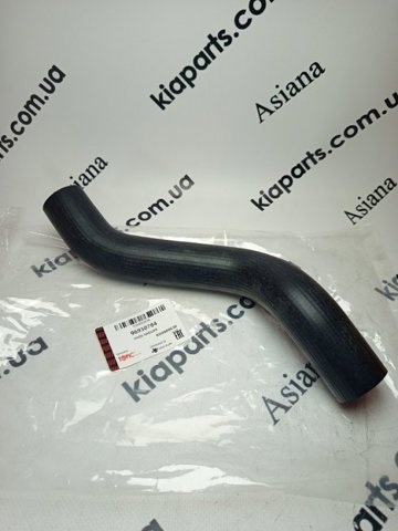 Патрубок системи охолодження 96419282 KAP