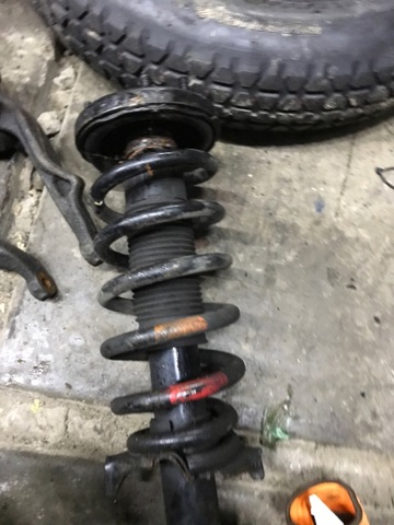 Пружина амортизатора передняя 51401TL1E21 HONDA