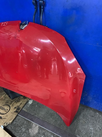 Капот 651009018R RENAULT