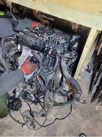 Двигун у зборі 1010200Q0L NISSAN