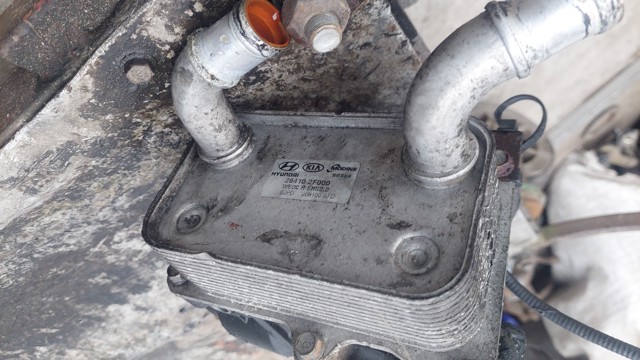 Масляний радіатор охолодження рідини АКПП 264102F000 HYUNDAI