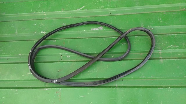 Ущільнювач двері передньої лівої (на двері) GP5Z5420531A FORD