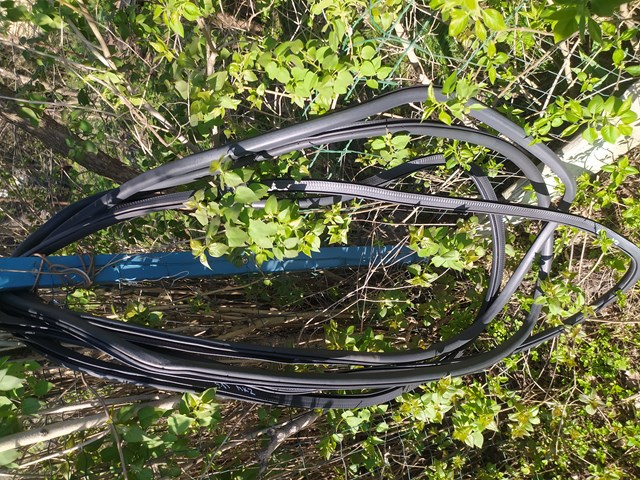 Ущільнювач дверей задніх, (на кузові) GP5Z54253A10A FORD