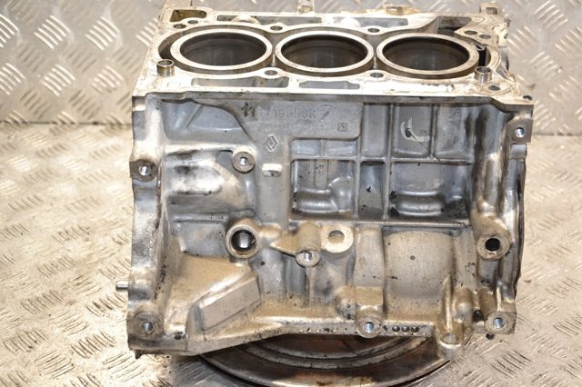 ДВЗ 110116559R RENAULT
