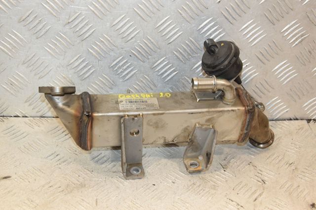 Радіатор системи рециркуляції ОГ 8200719993 NISSAN