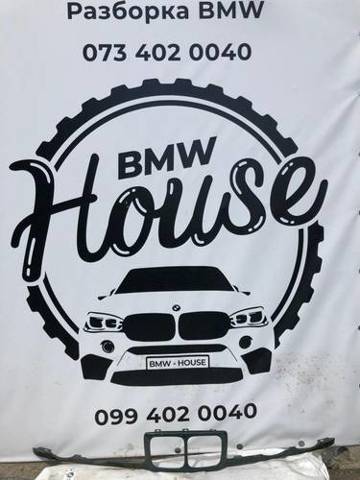 Захисна решітка радіатора 51131978880 BMW