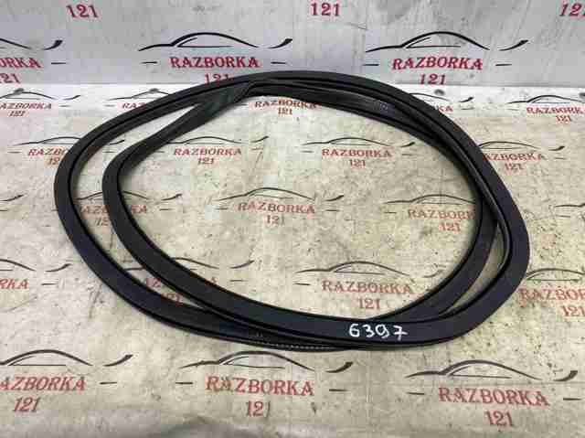 Ущільнювач дверей передніх, на (кузові) FT4Z5820708B FORD